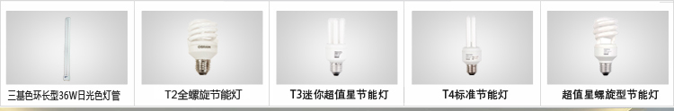 
                                        
                                        欧司朗（OSRAM） 四针插拔 36W三基色紧凑H型节能灯管日光色 6500K (2只装)                
