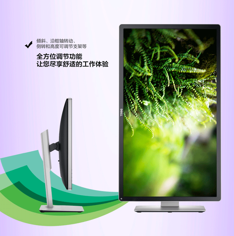 戴尔（DELL） 专业级P2815Q 28英寸16:9宽屏 LED背光4K液晶显示器
