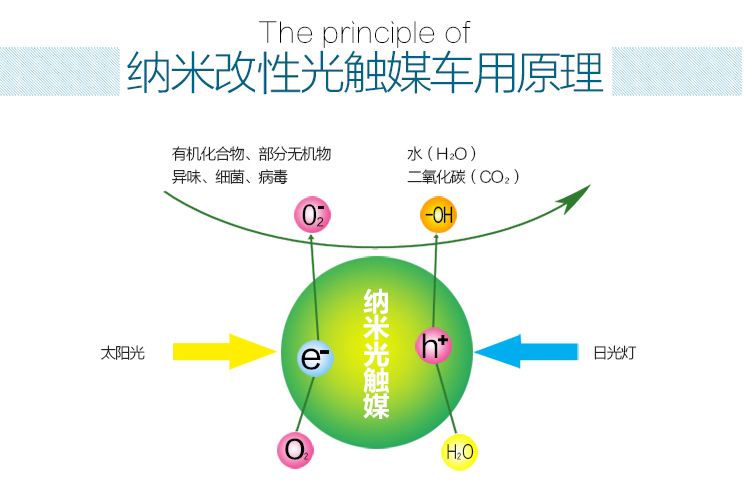 绿之源 汽车专用纳米改性光触媒  新车甲醛清除剂 汽车用品新车除甲醛除异味喷剂 3瓶装