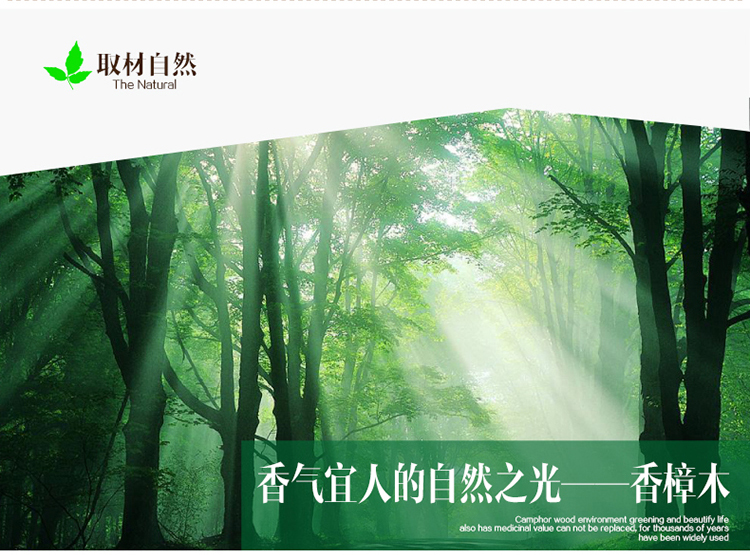 
                                        
                                                            绿之源    10条装天然香樟木条球块 家具书桌衣柜防霉防潮蛀虫除味替代樟脑丸卫生球                
