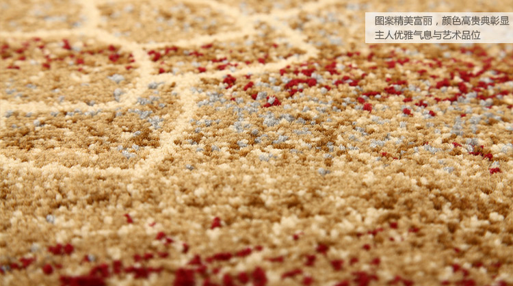 皇佳8号 客厅卧室70*160cm地毯50*80cm门垫组合装