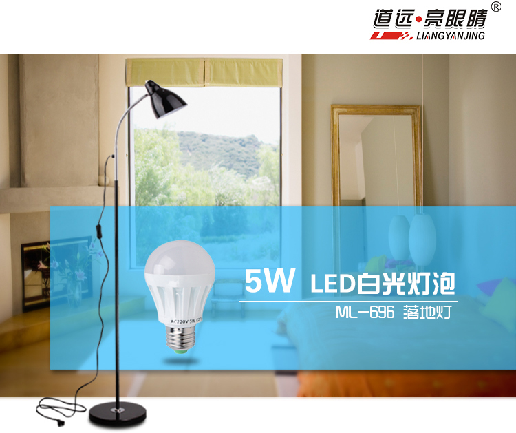 道远亮眼睛 LED落地灯 5W白光 客厅卧室书房现代简约工作阅读LED铁艺落地台灯ML696银色