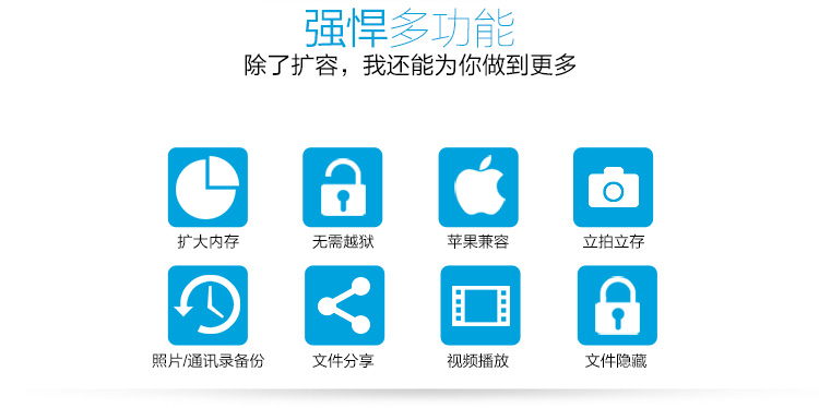 DM 苹果U盘(APD002)128G iPhone专用128GU盘平板U盘（黑色）