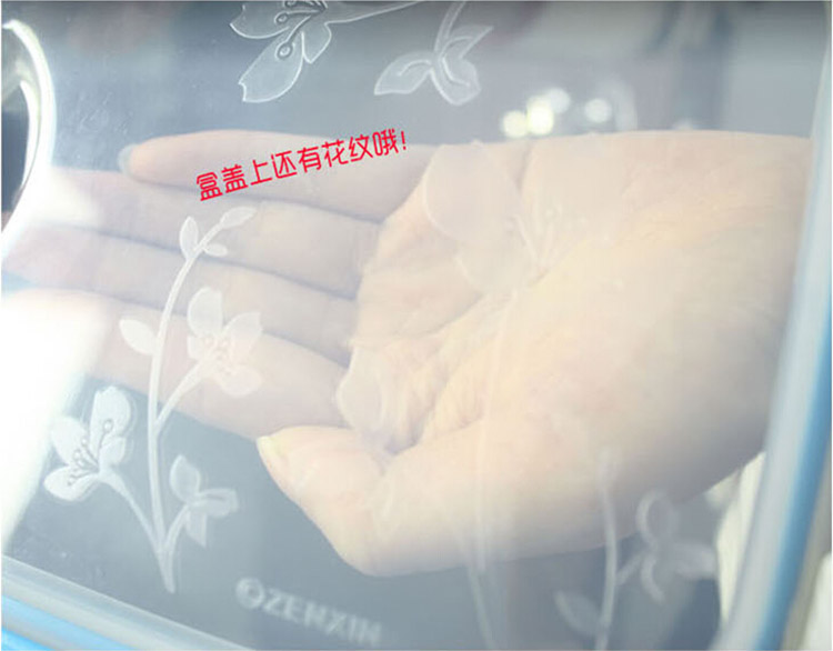 振兴 时尚中号双格饭盒橙色FH0098