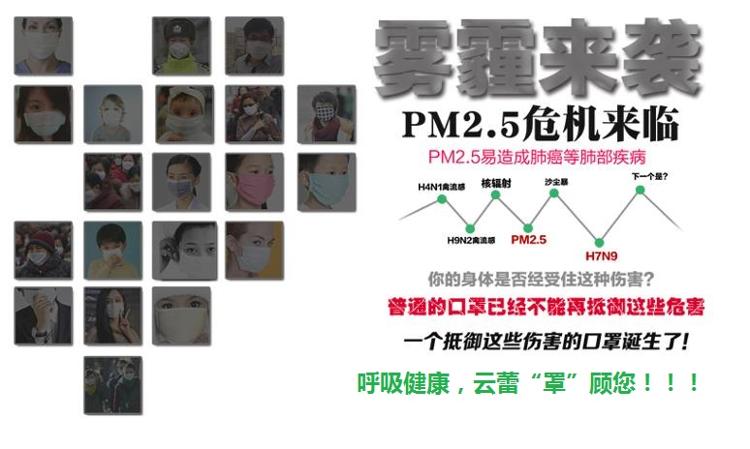 云蕾 PM2.5抗菌防尘 活性炭口罩 5枚装 12551