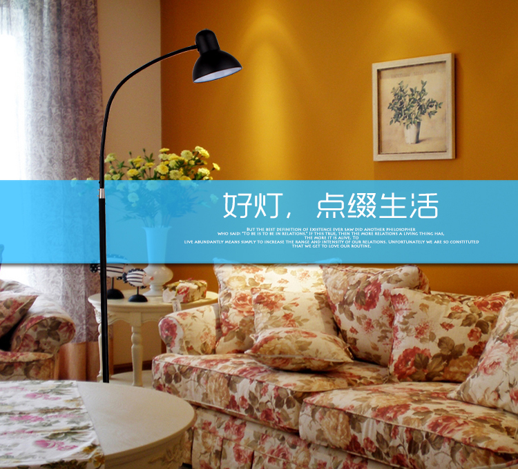 
                                        
                                        道远亮眼睛金属落地灯ML606黑色                