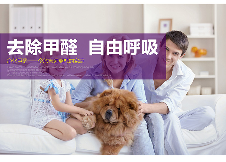 
                                        
                                                            绿之源 除醛王6000g 活性炭包室内新房装修家用吸去除甲醛清除剂竹炭包车用净化除味防潮碳包                