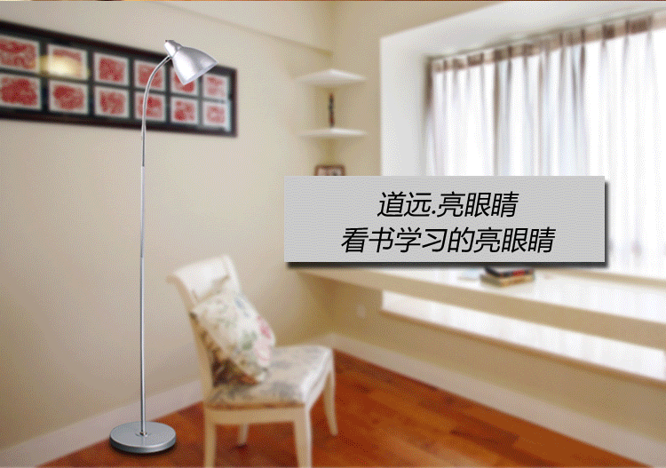 道远亮眼睛 LED落地灯 5W白光 客厅卧室书房现代简约工作阅读LED铁艺落地台灯ML696银色
