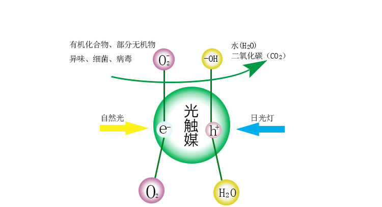 
                                        
                                        绿润 纳米光触媒去除甲醛清除剂新房家具新车除味500ml                