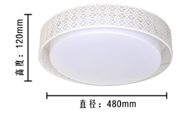 HD LED吸顶灯 卧室客厅灯 24W 白光 鸟巢系列