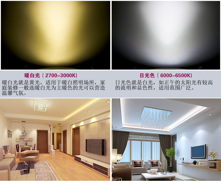 
                                        
                                        佛山照明（FSL）LED灯管T8双端0.6米8w白光日光色6500K 25支装                