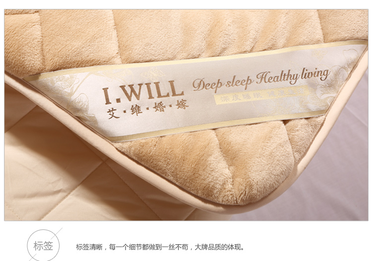 
                                        
                                        艾维 床品家纺 床褥子 加厚尊贵绒豪华床垫子垫被榻榻米 双人加大 180*200cm                