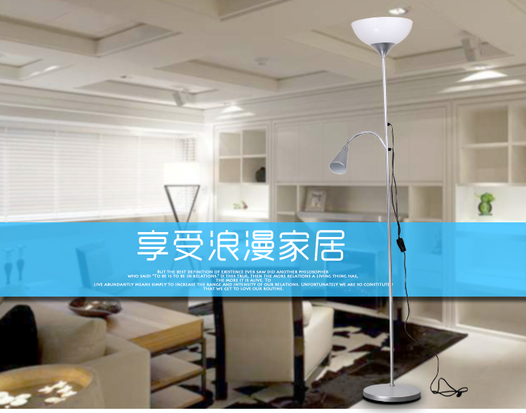 
                                        
                                        道远亮眼睛 LED落地灯白光 客厅卧室书房现代简约工作阅读落地台灯子母灯ML202-5银色                
