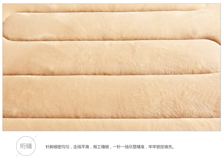 
                                        
                                        艾维 床品家纺 床褥子 尊贵绒豪华床垫子垫被榻榻米 双人 150*200cm                