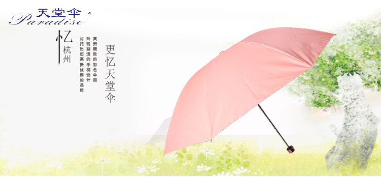
                                        
                                                            天堂伞 三折银胶晴雨伞防紫外线太阳伞遮阳伞商务伞57cm*8骨 336橄绿                