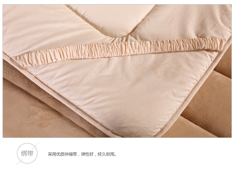 
                                        
                                        艾维 床品家纺 床褥子 尊贵绒豪华床垫子垫被榻榻米 双人 150*200cm                