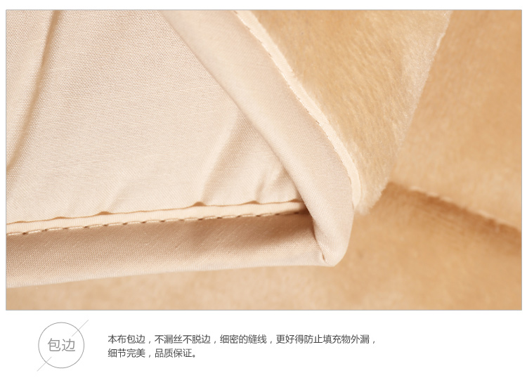 
                                        
                                        艾维 床品家纺 床褥子 尊贵绒豪华床垫子垫被榻榻米 双人 150*200cm                