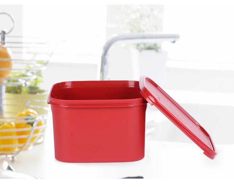 特百惠（Tupperware） 喜洋洋腌泡乐  2.6L