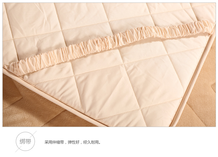 
                                        
                                        艾维 床品家纺 床褥子 加厚尊贵绒豪华床垫子垫被榻榻米 双人加大 180*200cm                