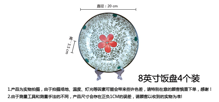 金禹瑞美（REMEC） 釉下彩手绘 粉佳人20CM饭盘 4个装