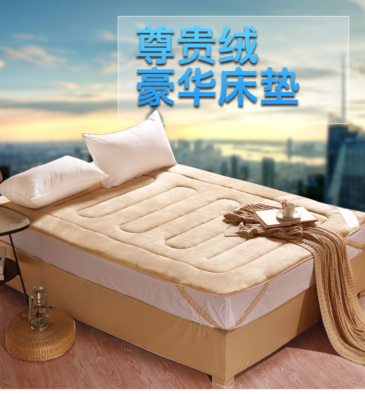 
                                        
                                        艾维 床品家纺 床褥子 尊贵绒豪华床垫子垫被榻榻米 双人 150*200cm                