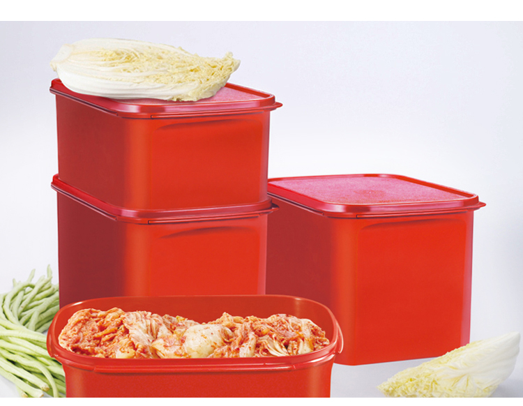 特百惠（Tupperware） 喜洋洋腌泡乐  2.6L