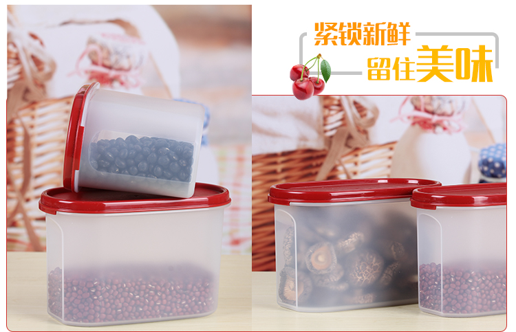 特百惠（Tupperware）MM储藏保鲜盒2件套1.1L*2