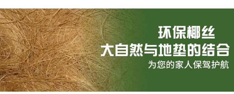 力九和 椰棕除尘垫玄关垫 郁金香彩垫 46*76cm 25mm