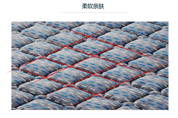 
                                        
                                                            百富帝（byford）床垫床褥 床护垫可水洗折叠透气单人四季床褥子 蓝 120*200cm                