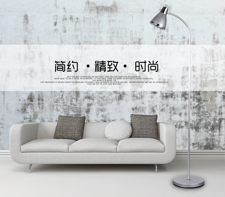 
                                        【京东超市】道远亮眼睛酷美系列金属LED落地灯ML828闪银                