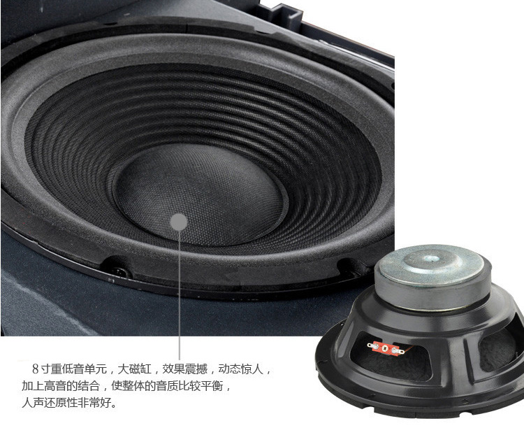 
                                                                                新科（Shinco）DK-350A 家庭影院KTV音响 家用会议演出音箱扩音器 8英寸                
