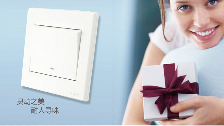 施耐德（Schneider）开关 一开单开单控开关 白色 如意系列 EV51/1