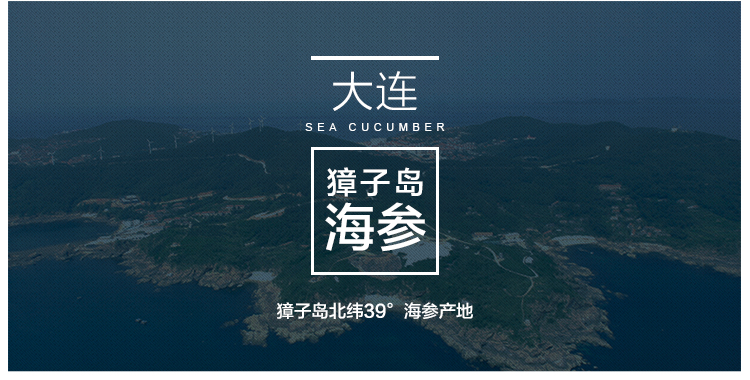 獐子岛 淡干海参 参藏 48g 自营海鲜