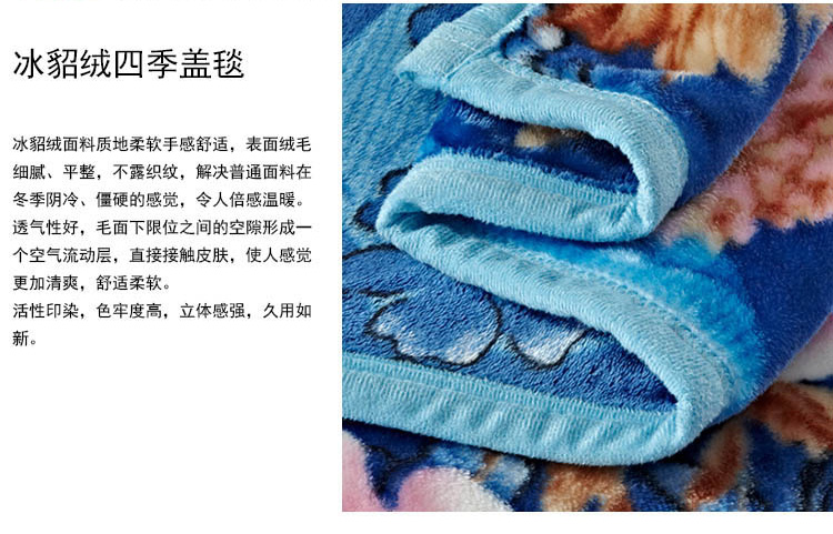 亿斯达（YISIDA）夏季冰貂绒毯 空调毯 凉毯 亲肤绒毯沙发毛毯 150*200 花舞季节