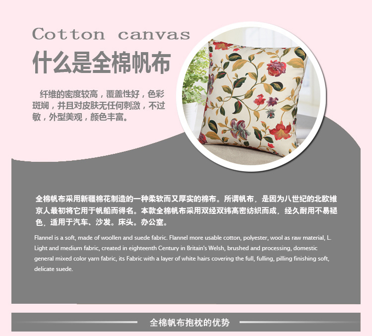 
                                        
                                                            艾薇抱枕 全棉粗布沙发靠垫办公室午睡枕汽车腰靠枕套+枕芯 花季2个                
