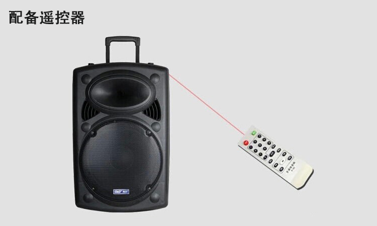 先科(SAST) D121 拉杆电瓶音响 黑色 比价,哪里