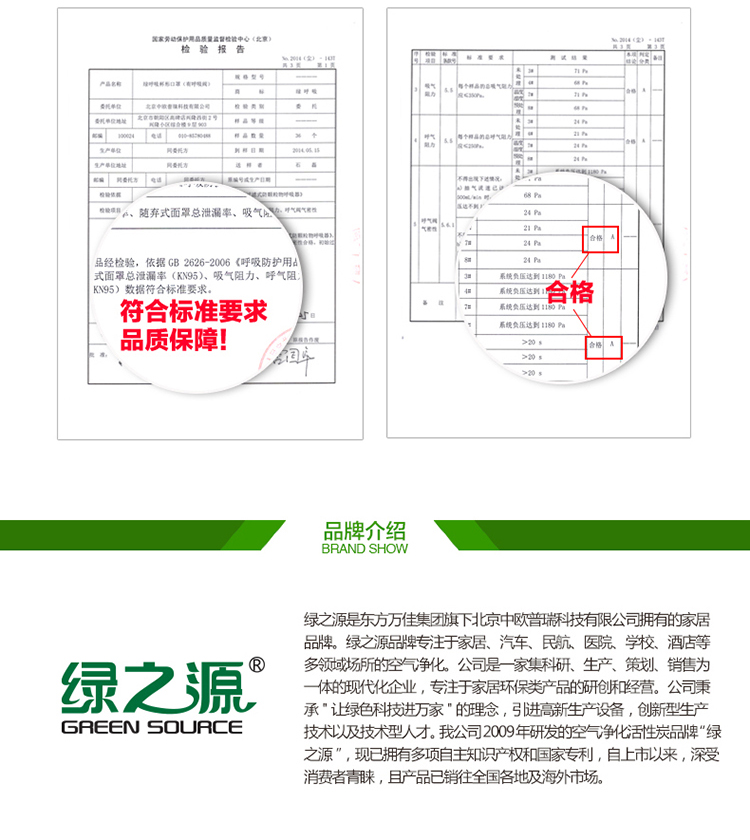 绿之源 绿呼吸口罩静电吸附滤片 防尘防霾防细微颗粒（10片装）