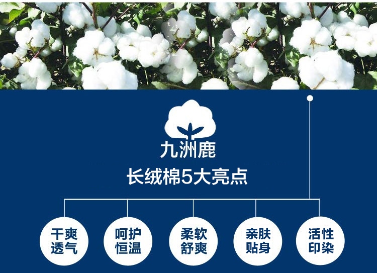 
                                        九洲鹿 床单单件 双人全棉加厚学生宿舍被单床罩 230x250cm                