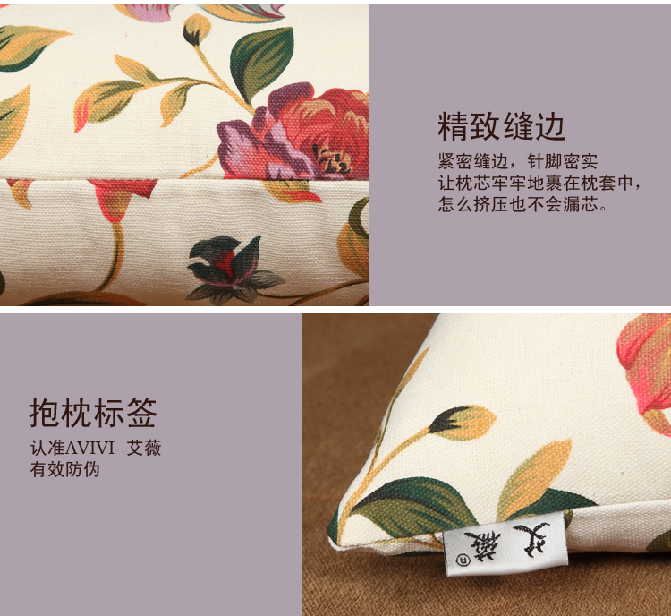 
                                        
                                                            艾薇抱枕 全棉粗布沙发靠垫办公室午睡枕汽车腰靠枕套+枕芯 花季2个                