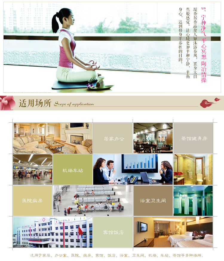 
                                        【京东超市】绿之源  凝香居环境卫生香（一盒装）                