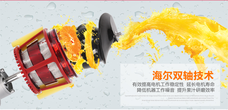 海尔（Haier）原汁机家用低速榨汁机HYZ-A108 