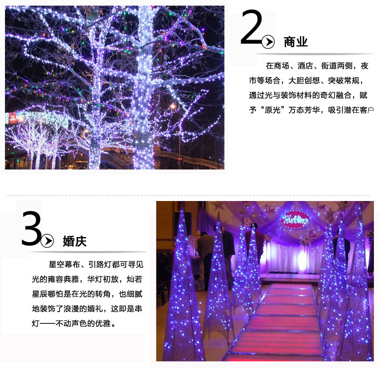 青苇 led灯串节日婚庆圣诞装饰七彩款