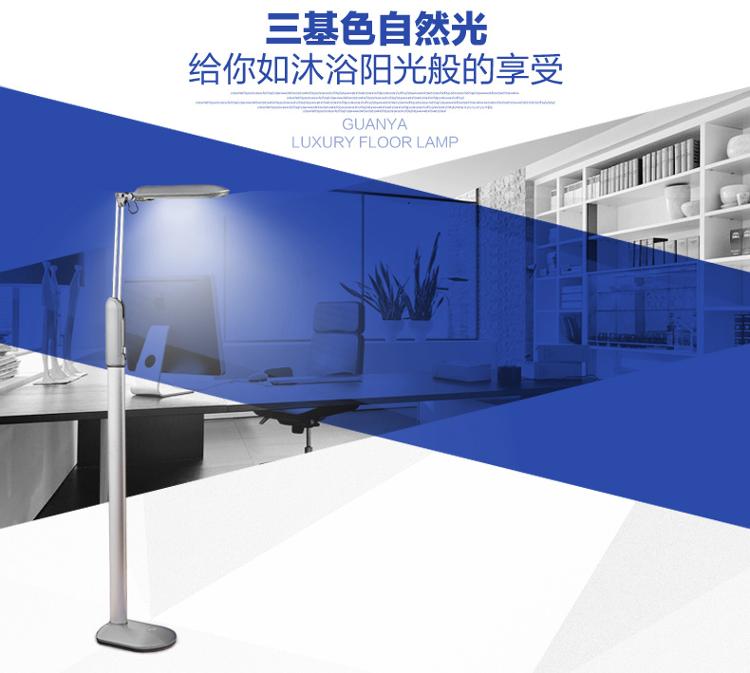 
                                        
                                        冠雅 护眼落地灯 客厅卧室床头落地台灯创意书房钢琴欧式豪华落地灯MT-3027-2 宝石红                