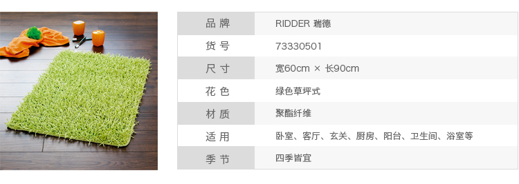 德国瑞德 RIDDER 草坪式地垫 门口玄关通用 绿色 60*90cm 733305