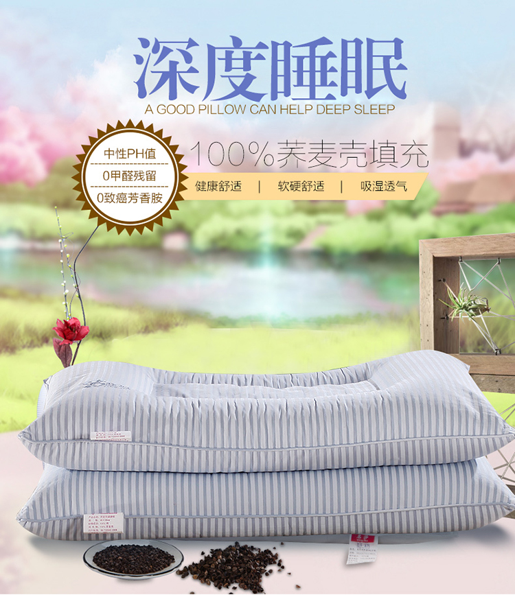 迎时（YINGSHI）荞麦壳健康枕 枕头枕芯 面料100%棉 全荞麦壳填充  单人定型枕头 40×68cm 蓝色