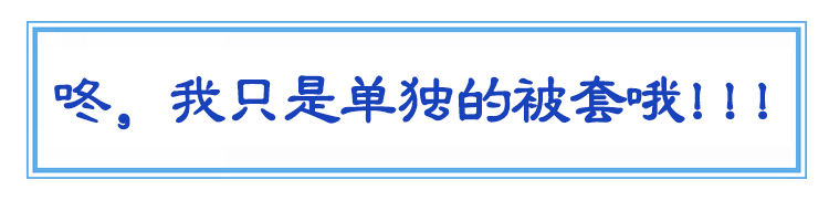 
                                        
                                                            艾薇 床品家纺 加大双人被罩单件纯棉被套220*240（遇见）                