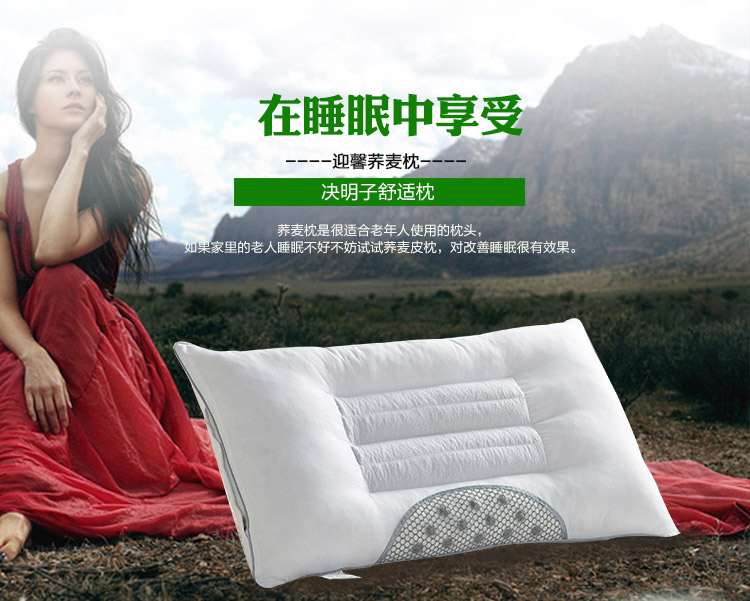 
                                        迎馨 枕芯家纺 荞麦枕头 睡眠枕头芯单人学生枕头芯 43*70cm                