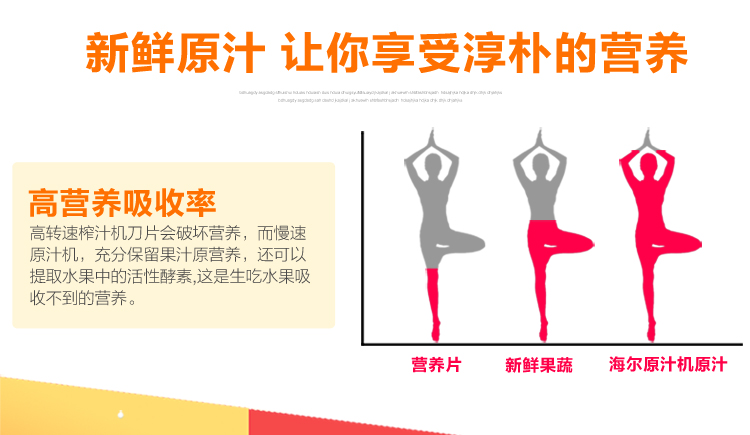 海尔（Haier）原汁机家用低速榨汁机HYZ-A108 