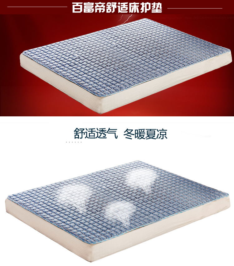 
                                        
                                                            百富帝（byford）床垫床褥 床护垫可水洗折叠透气单人四季床褥子 蓝 120*200cm                