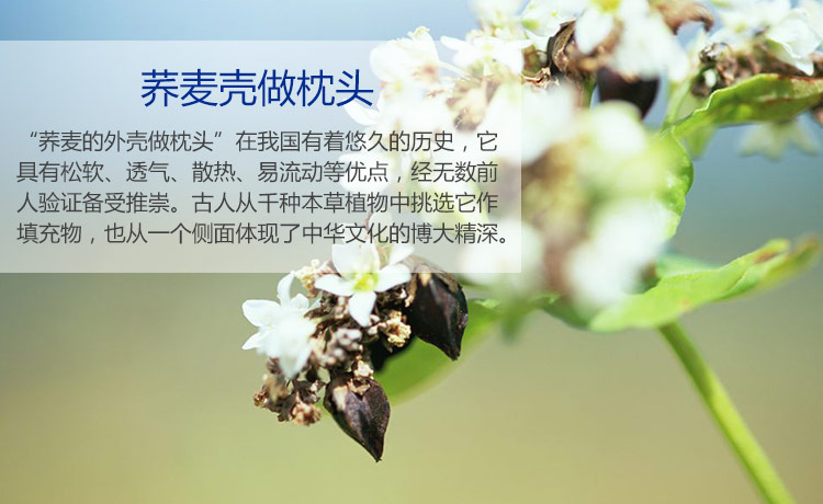 
                                        华康 枕头 全棉荞麦枕 填充甜荞麦壳枕芯 高度可调节枕头                